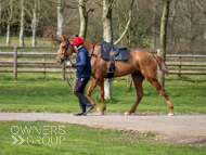 BP200326-47 - It's Hard To Know